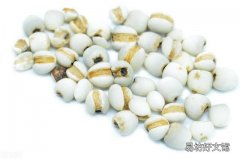 薏米與糯米同煮的功效 薏米可以和糯米一起煮除濕嗎