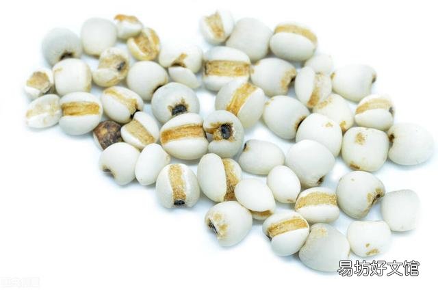 薏米與糯米同煮的功效 薏米可以和糯米一起煮除濕嗎