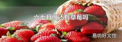 六七月份还有草莓吗