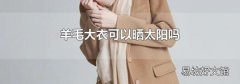 羊毛大衣可以曬太陽(yáng)嗎