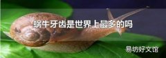 蜗牛牙齿是世界上最多的吗