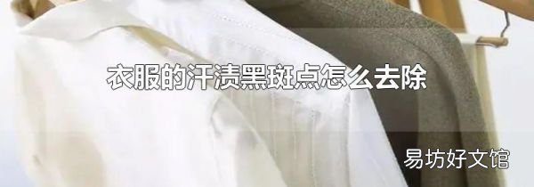 衣服的汗?jié)n黑斑點怎么去除