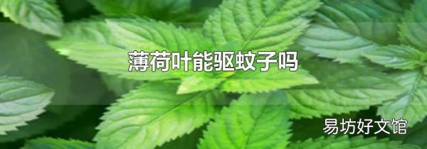 薄荷葉能驅(qū)蚊子嗎