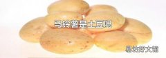 馬鈴薯是土豆嗎
