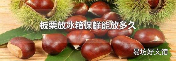 板栗放冰箱保鮮能放多久