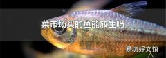 菜市场买的鱼能放生吗