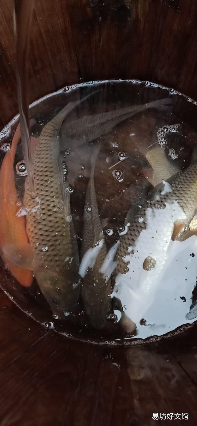 为什么钓鱼人往往不愿吃鱼 喜欢钓鱼不喜欢吃鱼的心态