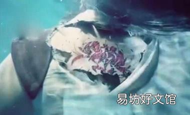 彼岸花图片 为什么说彼岸花是不祥之花