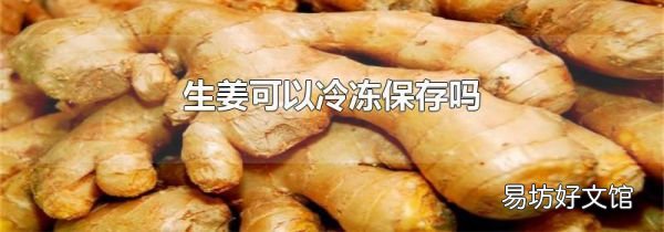 生姜可以冷凍保存嗎