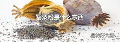 罂粟粉是什么东西