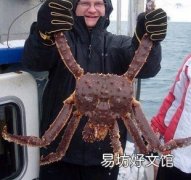 2021帝王蟹多少錢一斤 帝王蟹為什么賣這么貴