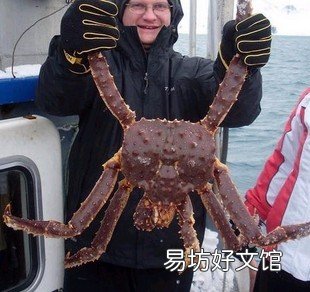 2021帝王蟹多少錢一斤 帝王蟹為什么賣這么貴