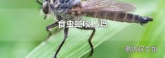 食蟲虻咬人嗎