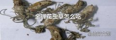 金蟬花蟲草怎么吃