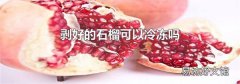 剝好的石榴可以冷凍嗎