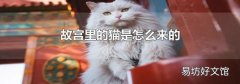 故宫里的猫是怎么来的