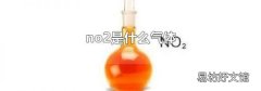 no2是什么气体