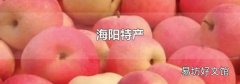 海阳特产