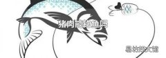 猪肉能钓鱼吗