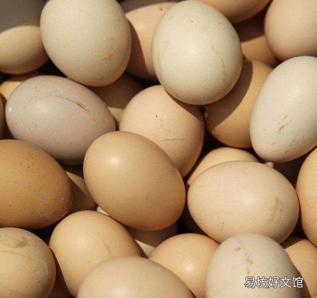 雞蛋外表怎么區(qū)分公雞母雞 公雞蛋和母雞的區(qū)別