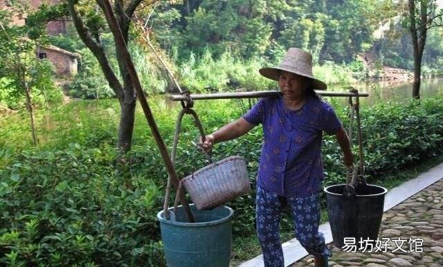 為什么尿和糞用來(lái)澆菜 農(nóng)民用糞水澆過(guò)的菜能吃嗎