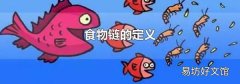 食物链的定义