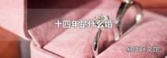 十四年是什么婚