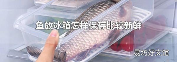魚放冰箱怎樣保存比較新鮮