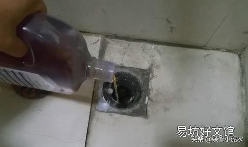 下水道里的小飛蟲是什么蟲 怎樣去除家里下水道飛出的黑