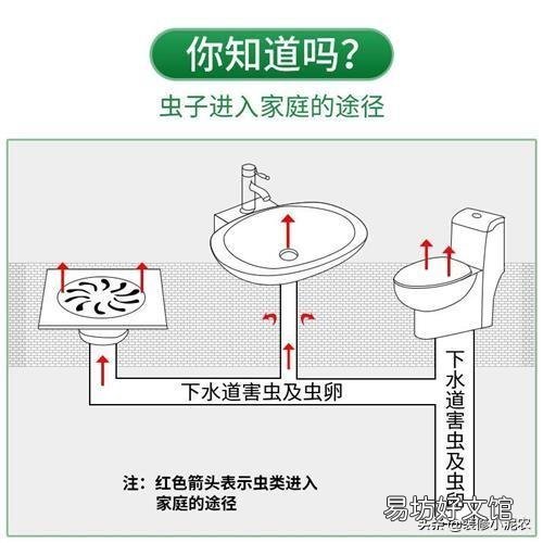 下水道里的小飛蟲是什么蟲 怎樣去除家里下水道飛出的黑