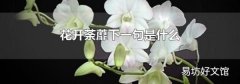 花开荼蘼下一句是什么