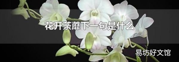 花开荼蘼下一句是什么