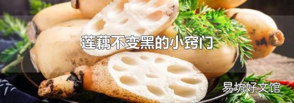莲藕不变黑的小窍门