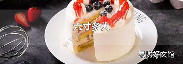 六寸多大