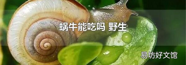 蜗牛能吃吗 野生