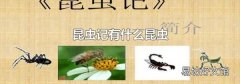 昆虫记有什么昆虫