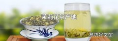 茉莉花茶产地