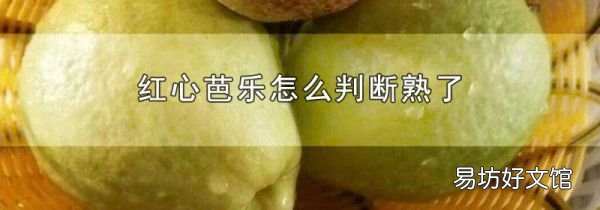 红心芭乐怎么判断熟了