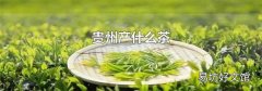 贵州产什么茶