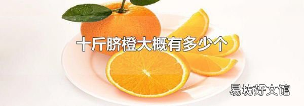 十斤脐橙大概有多少个