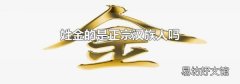 姓金的是正宗汉族人吗