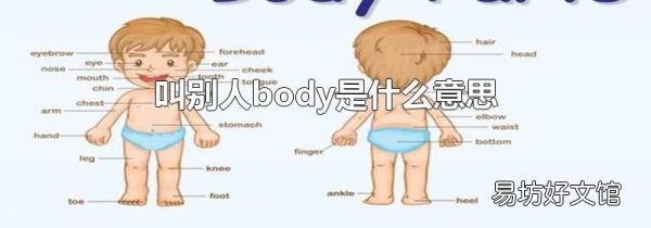 叫别人body是什么意思