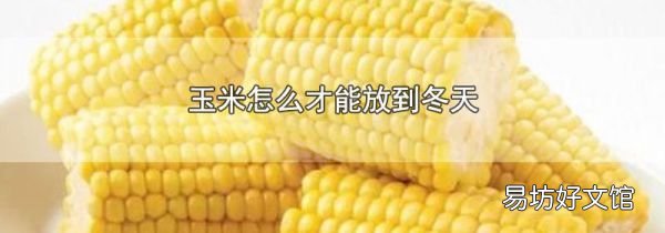 玉米怎么才能放到冬天