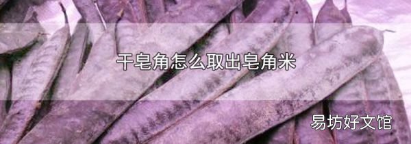 干皂角怎么取出皂角米
