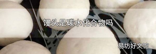 饅頭是碳水化合物嗎
