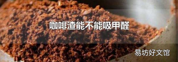 咖啡渣能不能吸甲醛