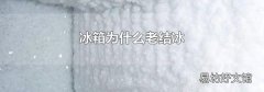 冰箱为什么老结冰