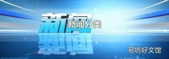 新闻分类