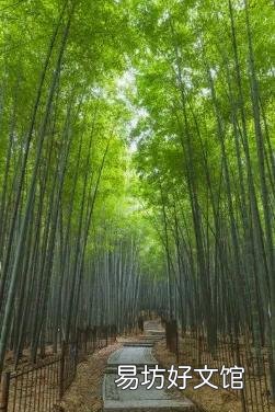 被称为花中四君子指的是什么 花中四君子是哪四种植物
