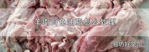 羊肉白色油脂怎么处理